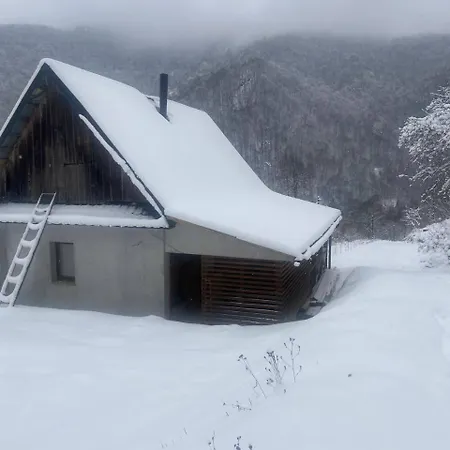 будиночок у лісі - бовцар Apartman Nizhne-Bystraya