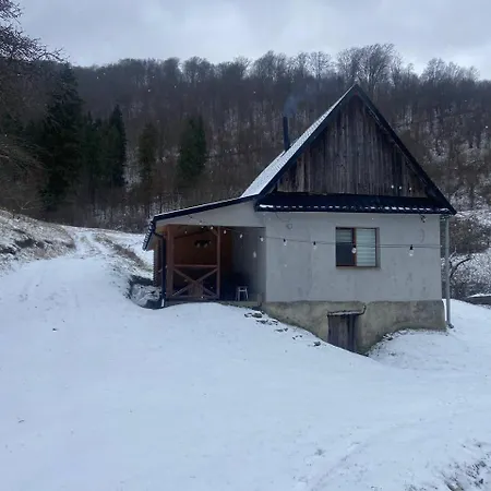 будиночок у лісі - бовцар Nizhne-Bystraya